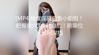 [MP4]极度淫骚白皙小姐姐！肥臀美穴3小时自慰！骑乘位大长吊深插