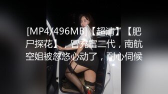 [MP4/496MB]【超清】【肥尸探花】，冒充富二代，南航空姐被忽悠心动了，耐心伺候