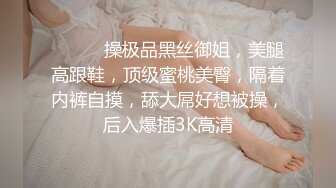 ❤️❤️操极品黑丝御姐，美腿高跟鞋，顶级蜜桃美臀，隔着内裤自摸，舔大屌好想被操，后入爆插3K高清