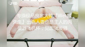 ⚡专操极品良家大神『Wei.魏先生』出轨人妻也是主人的肉便器飞机杯，见面就发骚