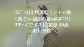 FSET-813 居酒屋ランチで働く奧さん 旦那の居ぬ間にNTRチ○ポでメス化 美夏 30歳 藍川美夏