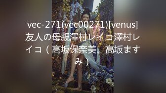 vec-271(vec00271)[venus]友人の母親澤村レイコ澤村レイコ（高坂保奈美、高坂ますみ）