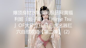 爆顶身材水嫩美乳极品网黄福利姬「姬子猫」「Hime Tsu」OF大尺度私拍 白虎名器肛穴自慰双插【第二弹】 (2)