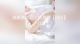 良家黑丝足交大合集【66V】 (1)