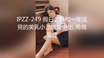 IPZZ-249 假日公幹和一年沒見的美乳小三做愛中出..希島愛理