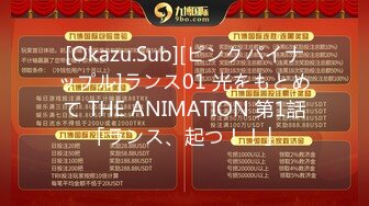 [Okazu.Sub][ピンクパイナップル]ランス01 光をもとめて THE ANIMATION 第1話「ランス、起つ！！」