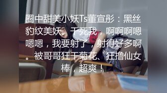 圈中甜美小妖Ts董宣彤：黑丝豹纹美妖。干死我，啊啊啊嗯嗯嗯，我要射了，射得好多啊。被哥哥狂干菊花、狂撸仙女棒，超爽！