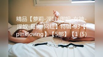 精品【萝莉-淫娃-御姐-女神-淫奴-母狗-网红】特辑-93【pinkloving】【5部】【1 (5)