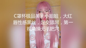 C罩杯极品美乳小姐姐，大红唇性感黑丝，足交舔屌，第一视角操无毛肥穴