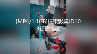 [MP4/1.1GB]精東影業JD103街邊搭訕